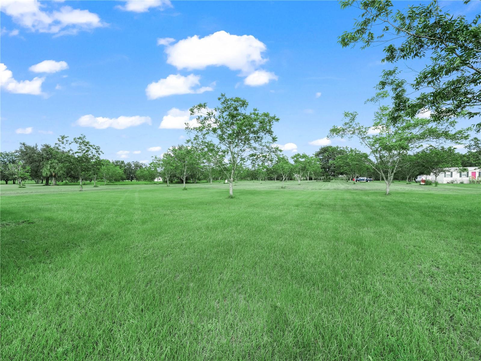 CAREY GROVE - Residential