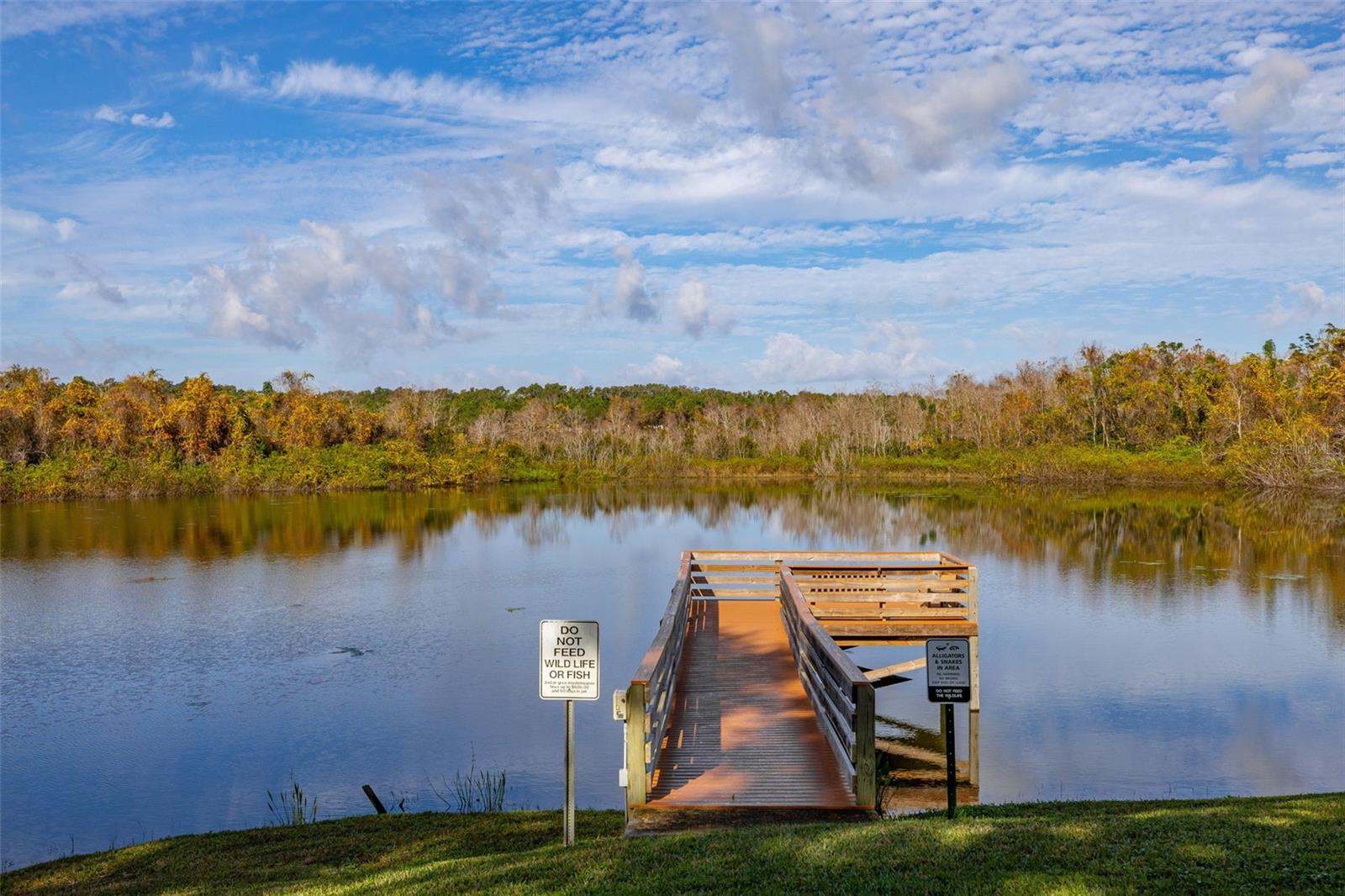 ZELLWOOD STATION - Residential