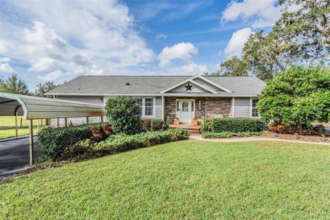 A home in DADE CITY