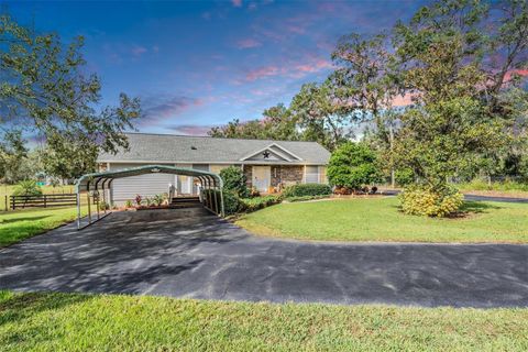 A home in DADE CITY