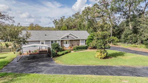 A home in DADE CITY