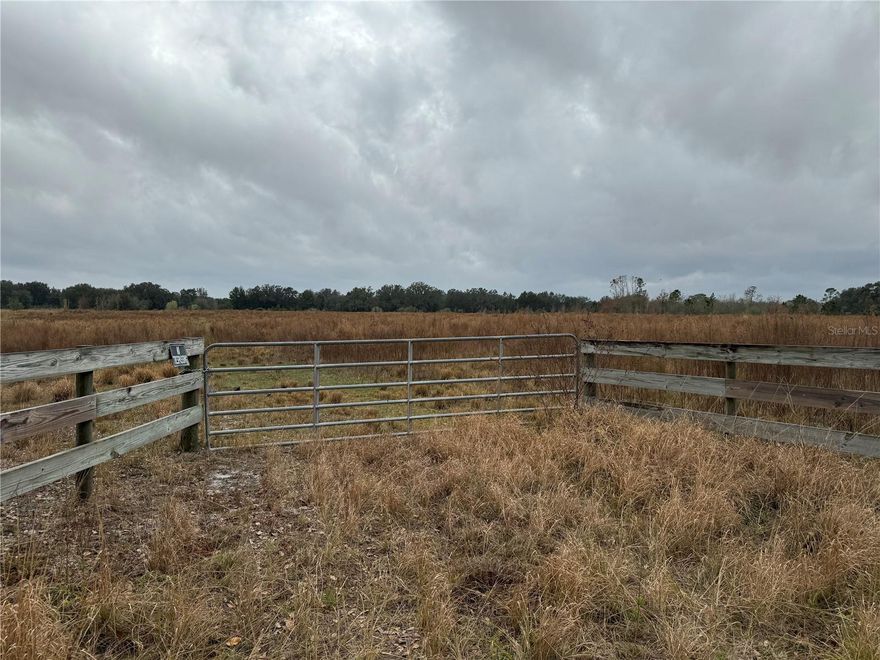 Property is completely fenced with cattle.