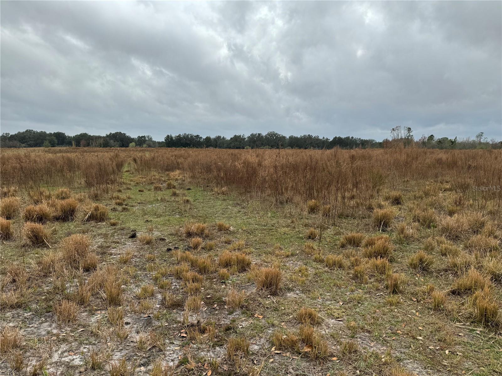 PASCO HEIGHTS - Land