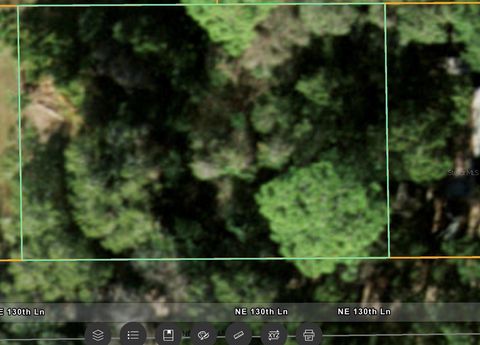 NE 130 LANE SALT SPRINGS FL 32134