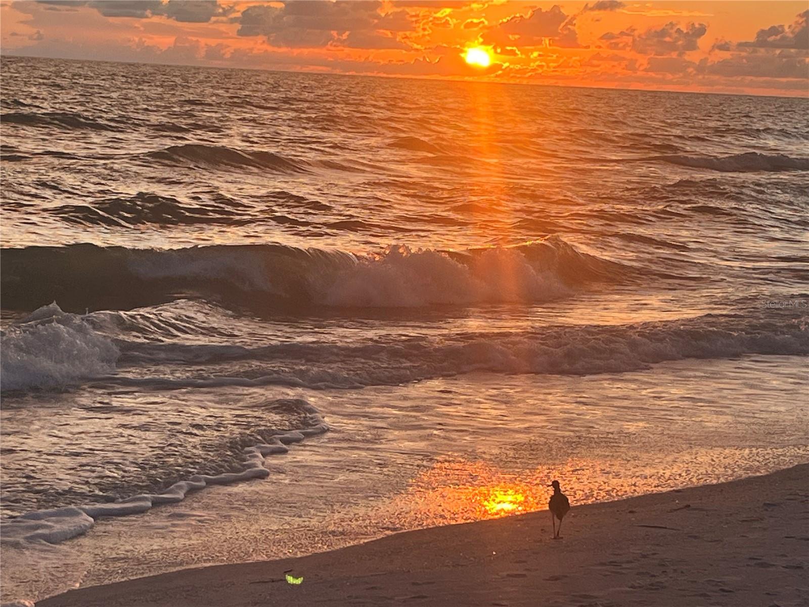 GULF SHORES CONDO - Residential