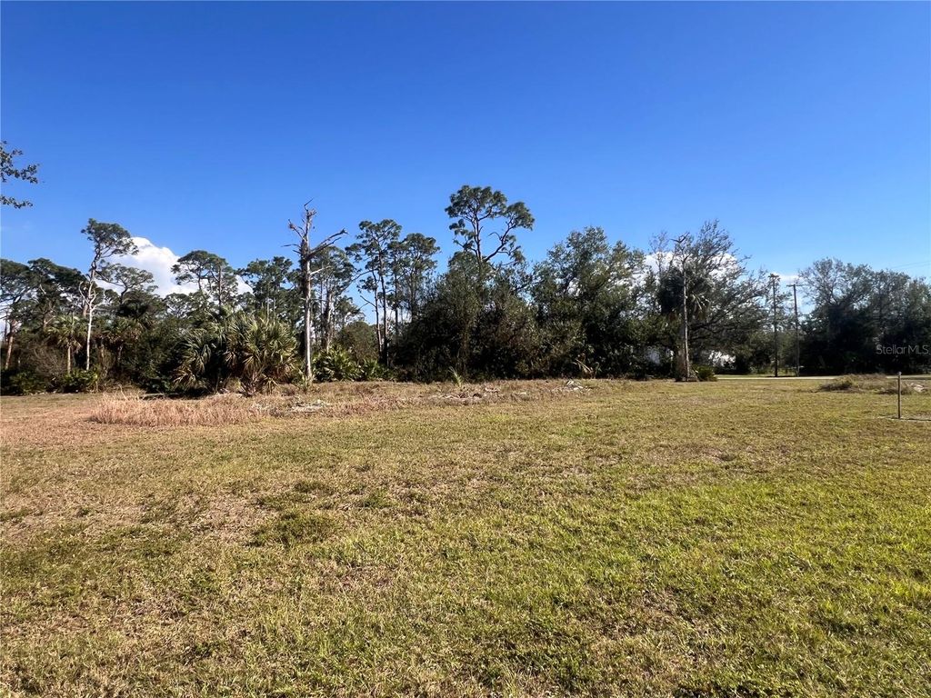 Photo of 16574 Cape Horn Boulevard, Punta Gorda, FL 33955 (MLS # A4640486)