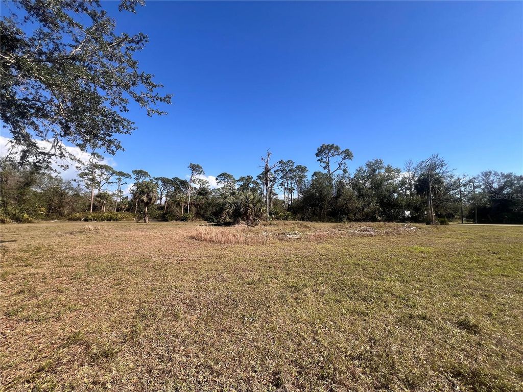 Photo of 16574 Cape Horn Boulevard, Punta Gorda, FL 33955 (MLS # A4640486)