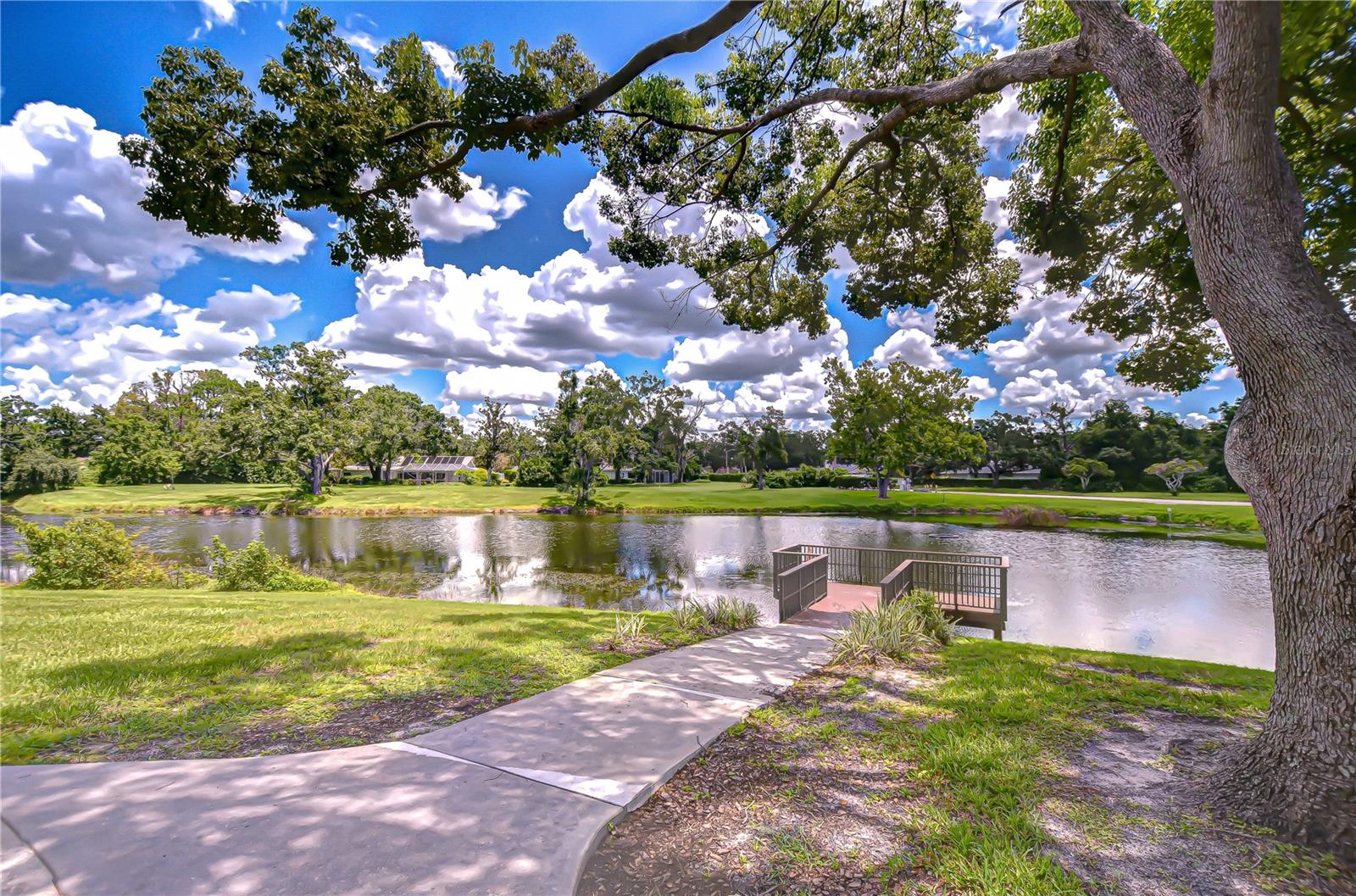 VILLAGE VI OF CARROLLWOOD VILL - Residential