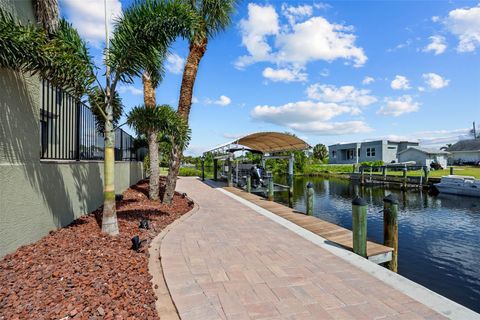 A home in PORT CHARLOTTE