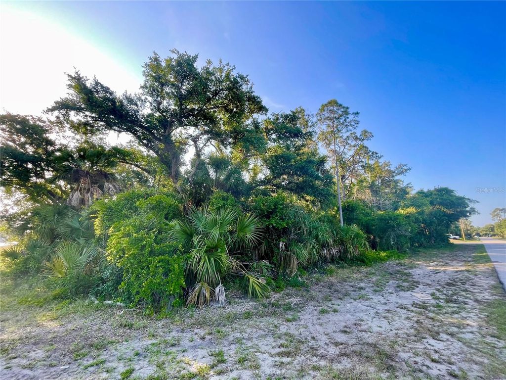 Photo of 19129 Hillsborough Boulevard, Port Charlotte, FL 33954 (MLS # A4668316)