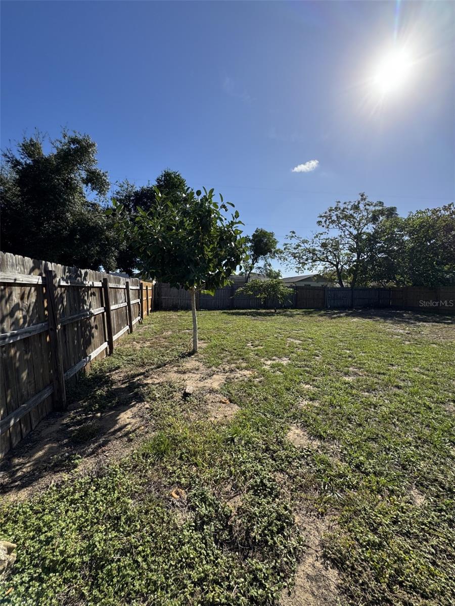 TAVARES HEIGHTS - Residential