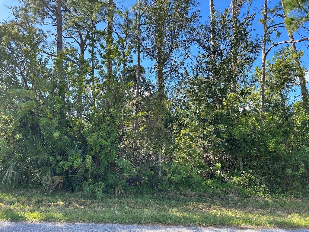 Photo of 168 Capatola Street, Port Charlotte, FL 33948 (MLS # C7483986)