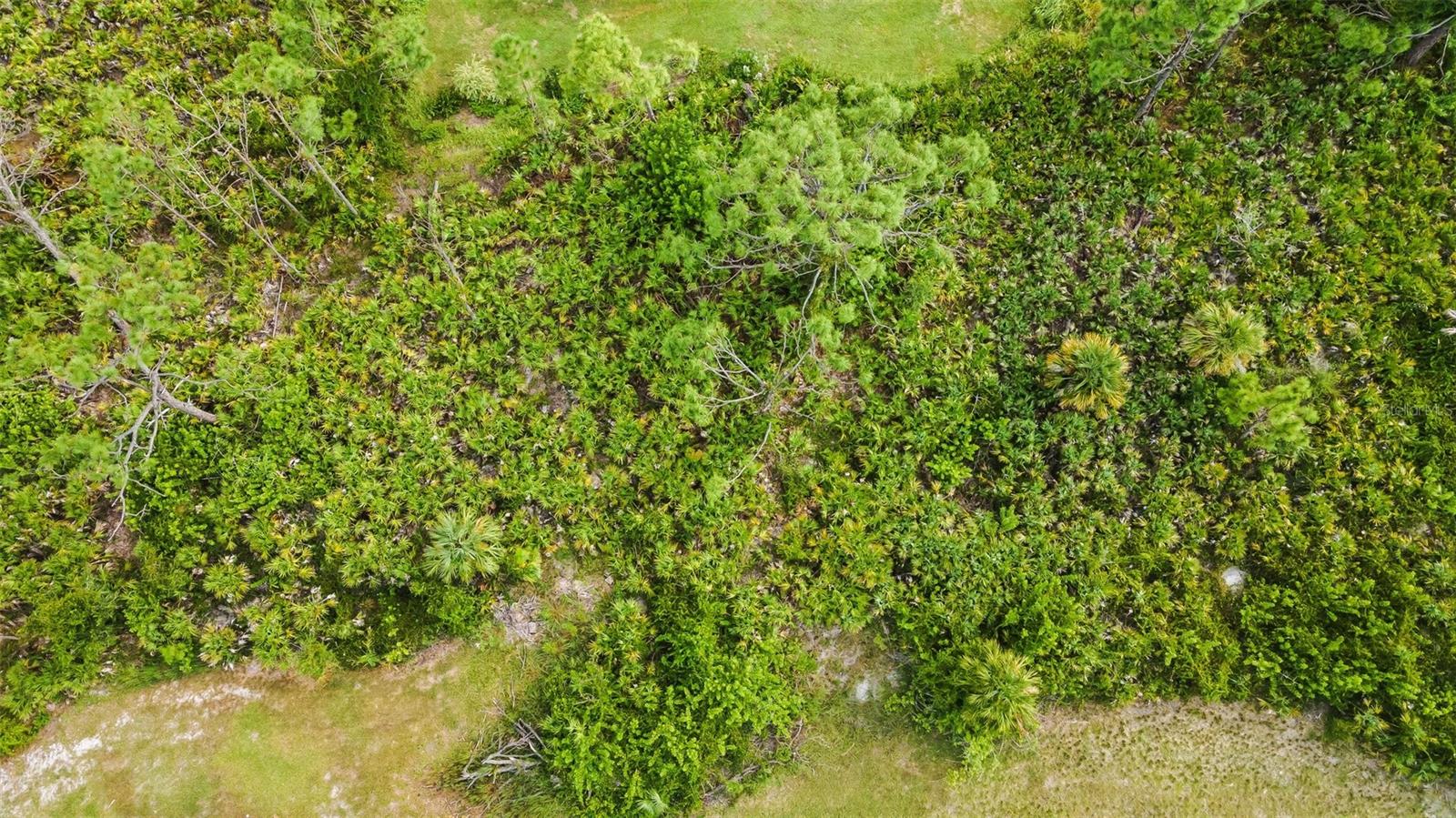 ROTONDA LAKES - Land