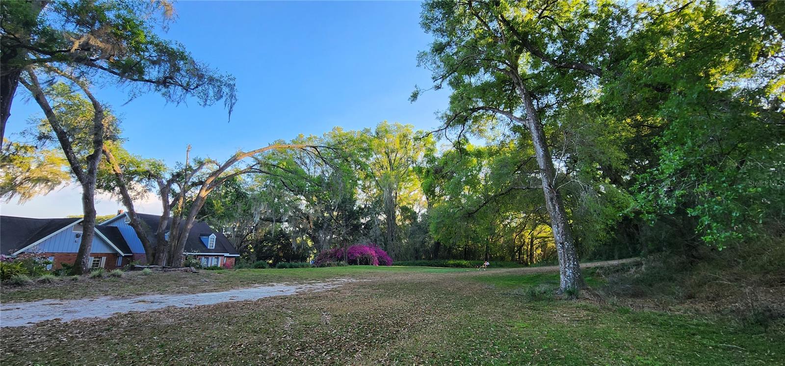 ACREAGE - Residential