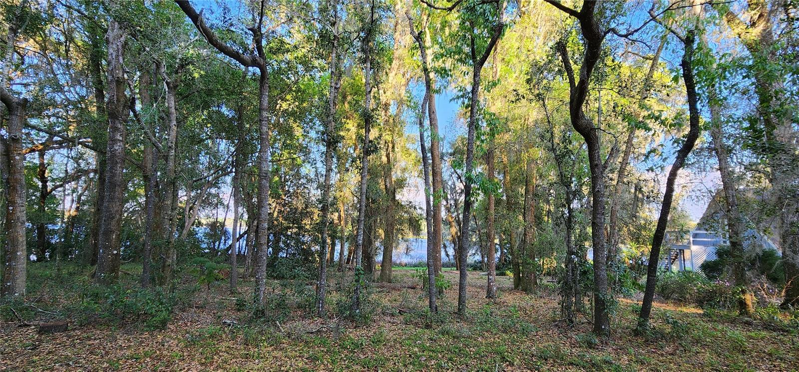 ACREAGE - Residential