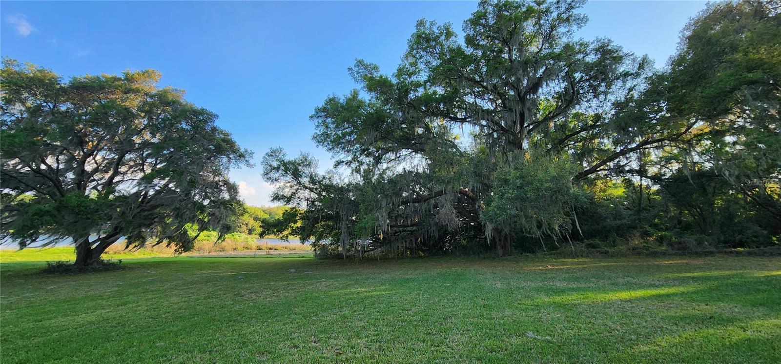 ACREAGE - Residential