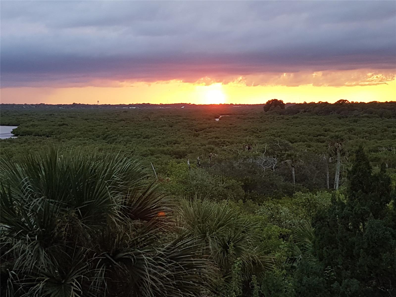 Ocean Walk Condo At Nsb - Residential