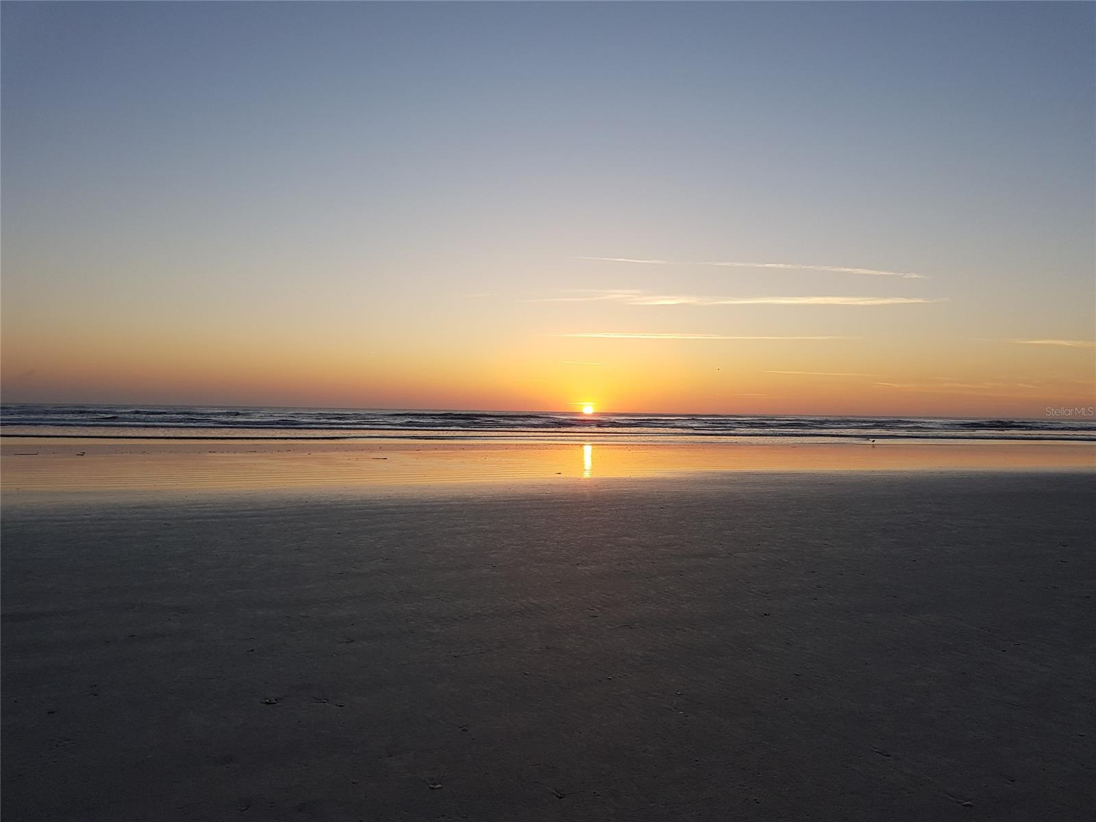 Ocean Walk Condo At Nsb - Residential