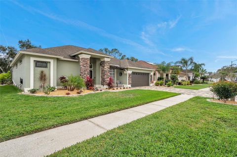 A home in TAMPA