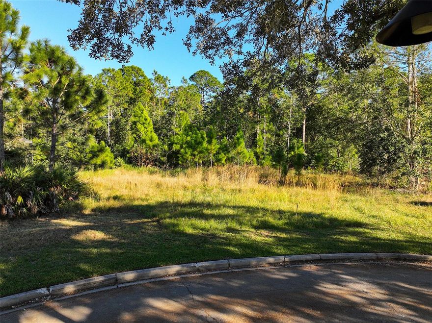 Want to build a DREAM HOME? Don’t miss out on this vacant land in "The Estates" located in Harmony Florida. Ideally situated close to the neighborhood school; Harmony Community School, this home also offers golf-cart-friendly access through a nearby tunnel to Harmony Middle School and Harmony High School—making it a top choice for those who value education and convenience. Harmony residents enjoy exceptional amenities, including Buck Lake, where you can take out community pontoon boats, kayaks, or canoes, or cast a line from the community fishing pier. Additional perks include two resort-style pools, dog parks, playgrounds, walking trails, fitness center, and bike paths. Enjoy strolls or golf cart rides to the local coffee shop, pizza place, and Mexican restaurant—all within the neighborhood. With convenient access to Orlando International Airport, Medical City in Lake Nona, and the East Coast Beaches, Harmony offers a perfect blend of nature, lifestyle, and location. Don’t miss your chance to own this move-in ready home—schedule your private showing today!