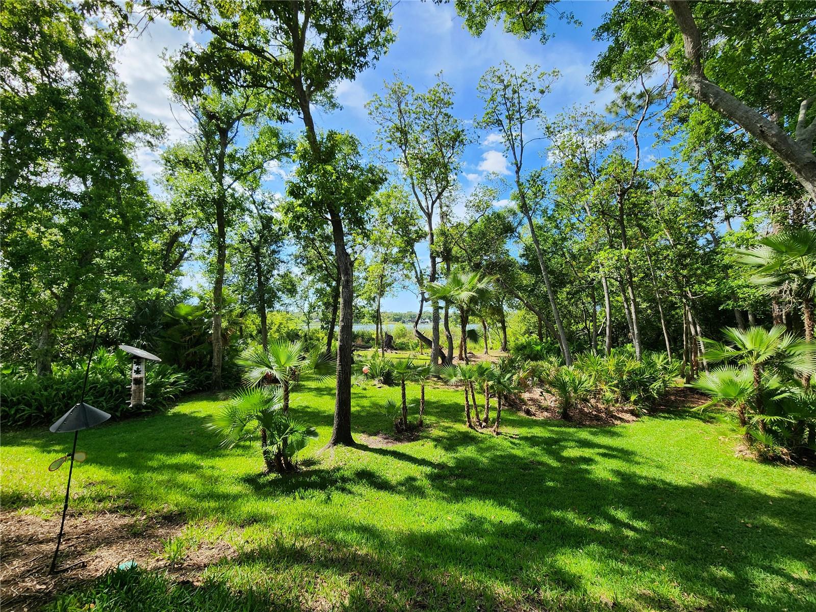 LAKE POINTE AT COUNTRYSIDE - Residential