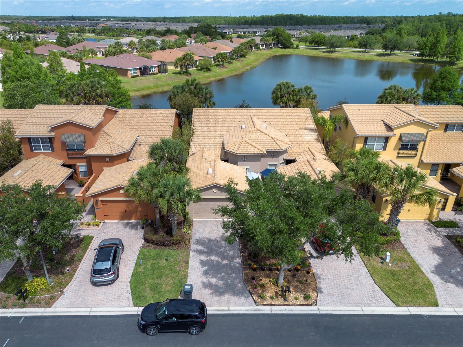 2459 PALM TREE DRIVE