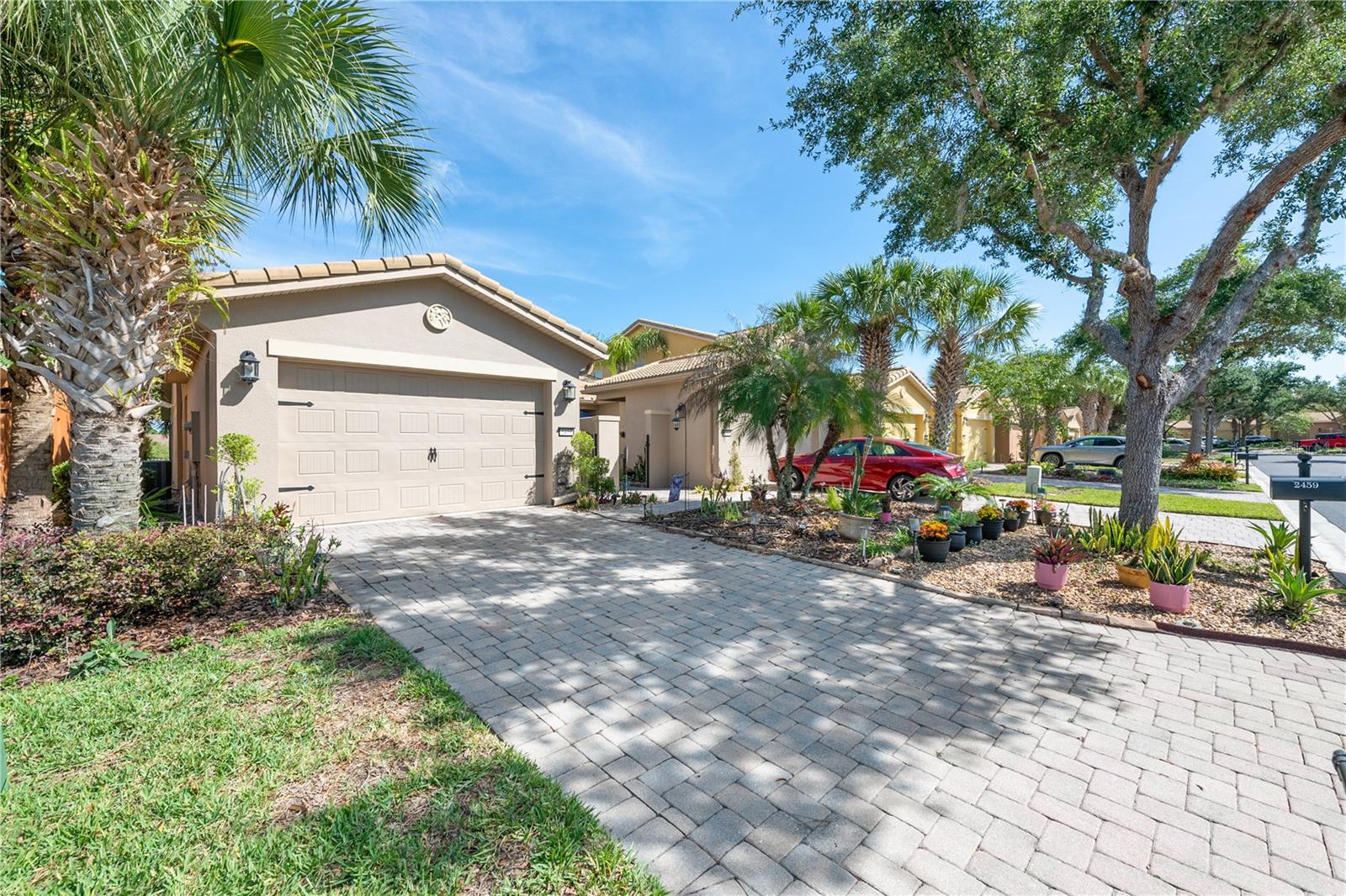 2459 PALM TREE DRIVE