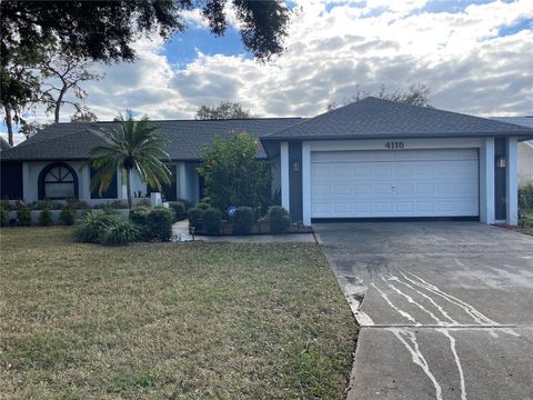 A home in PLANT CITY