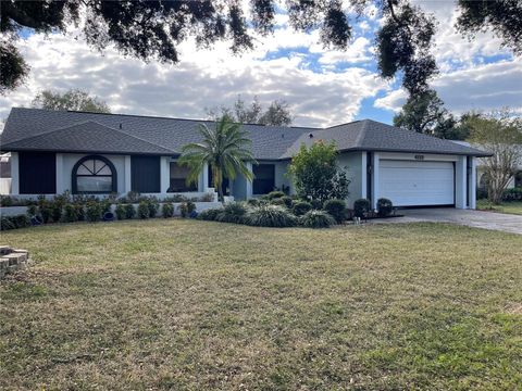 A home in PLANT CITY