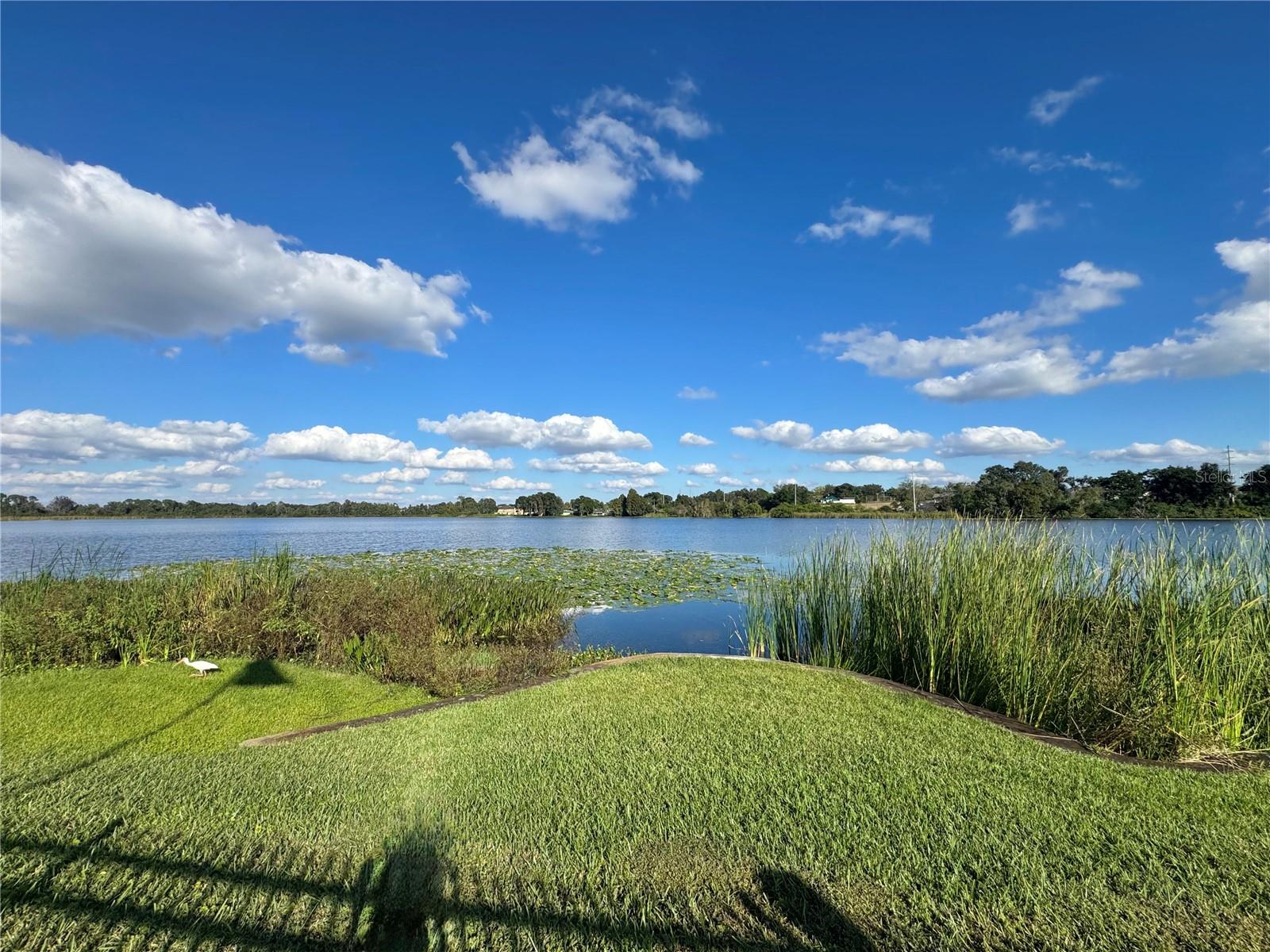 LAKE BUCKEYE CONDO - Residential Lease