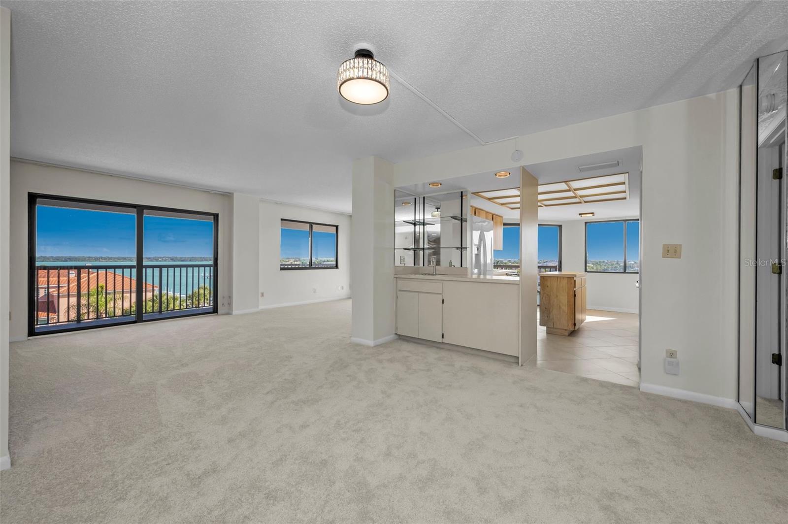 HARBORAGE CONDO BELLEAIR BEACH - Residential