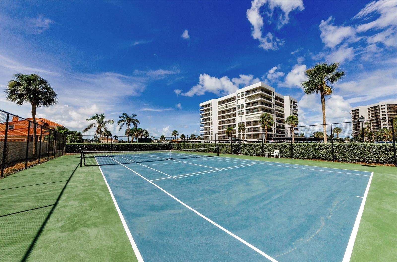 HARBORAGE CONDO BELLEAIR BEACH - Residential