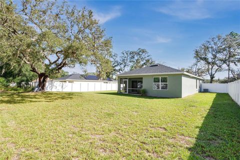 A home in APOPKA