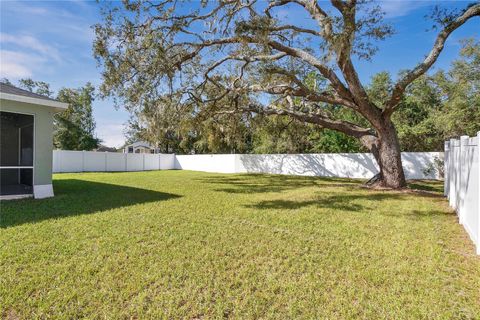 A home in APOPKA