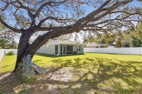 A home in APOPKA