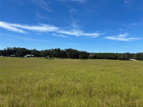 Tiny photo for SE 215th Avenue, Morriston, FL 32668 (MLS # OM732936)