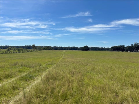 Tiny photo for SE 215th Avenue, Morriston, FL 32668 (MLS # OM732936)