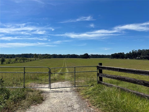 Tiny photo for SE 215th Avenue, Morriston, FL 32668 (MLS # OM732936)
