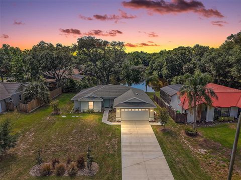 335 VINCENT DRIVE MOUNT DORA FL 32757
