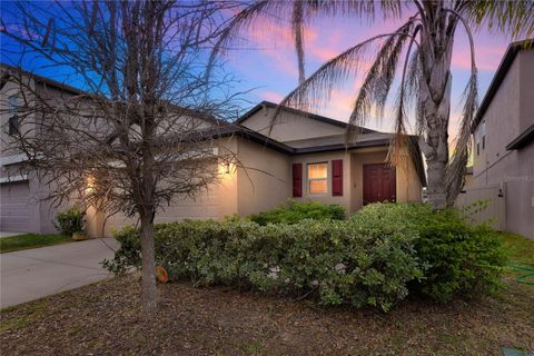 Photo of 7227 Salt River Avenue, Sun City Center, FL 33573 (MLS # O6388050)