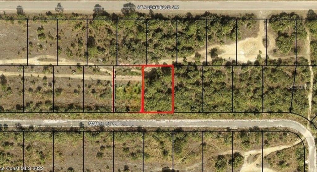 Photo of 939 Mahoe Street SW, Palm Bay, FL 32908 (MLS # S5147221)