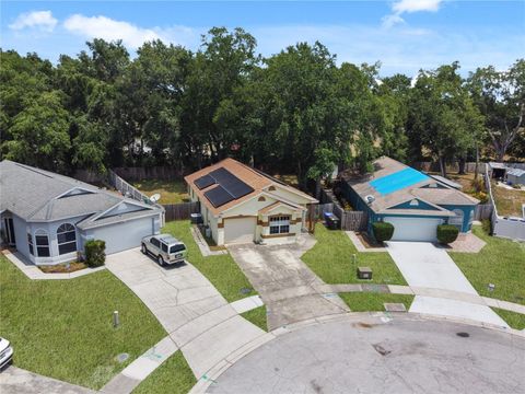 A home in KISSIMMEE