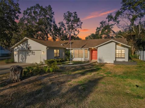 Photo of 7822 Holiday Drive, Spring Hill, FL 34606 (MLS # W7881472)