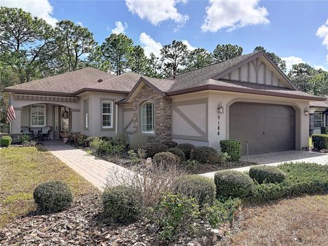 Photo of 9184 S Deer Park Drive, Homosassa, FL 34446 (MLS # S5145119)