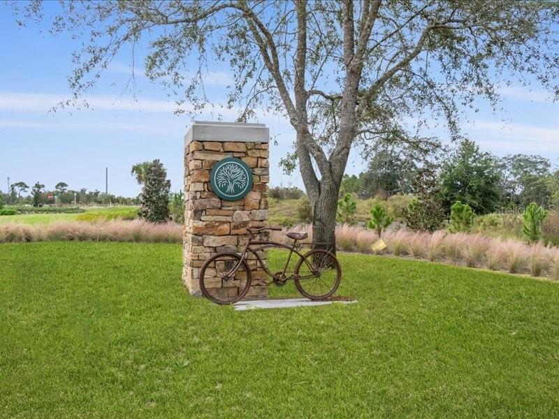 CELEBRATION ISLAND VILLAGE - Residential