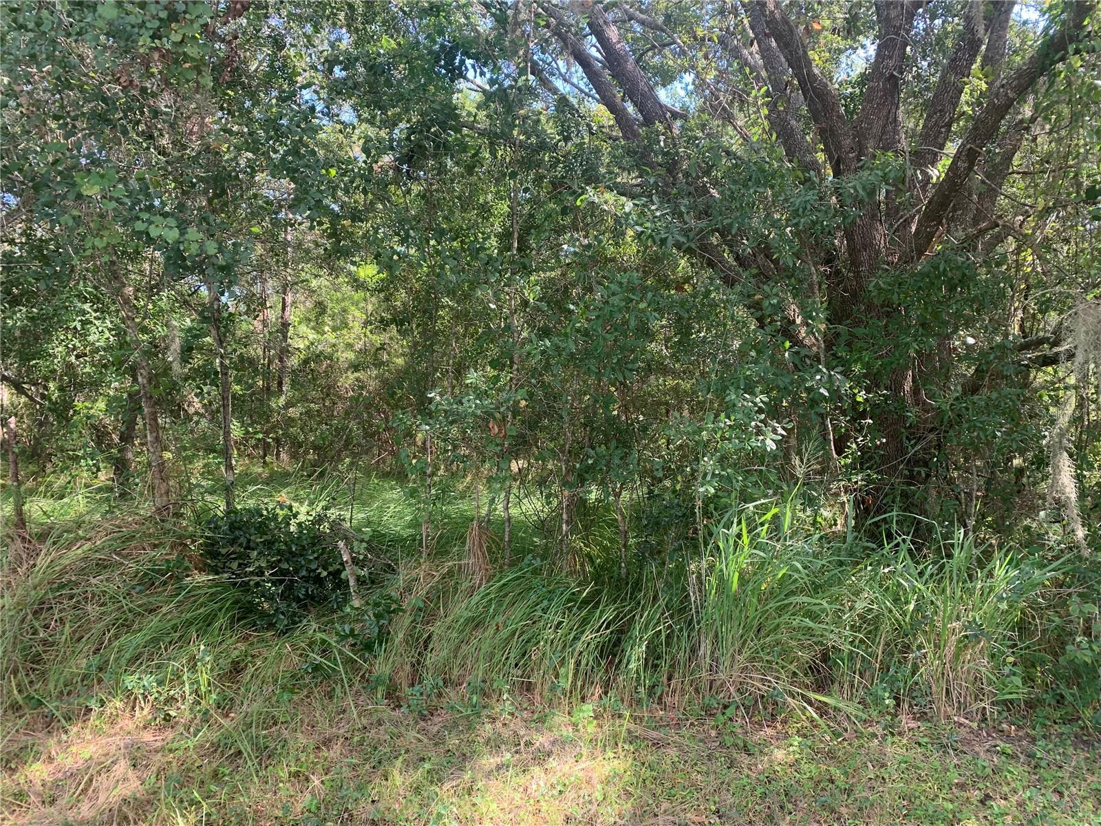 1.04 Acres of vacant land. trees, Seller has no knowledge of the property. No Disclosure forms, Come build your dream Home.