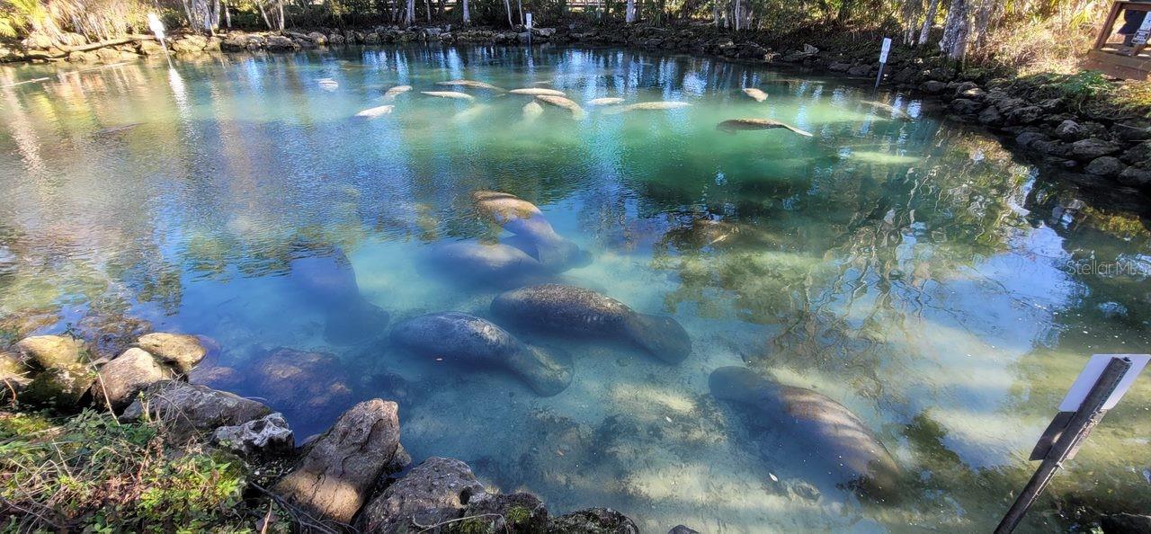 INDIAN WATERS UNIT 03 - Residential