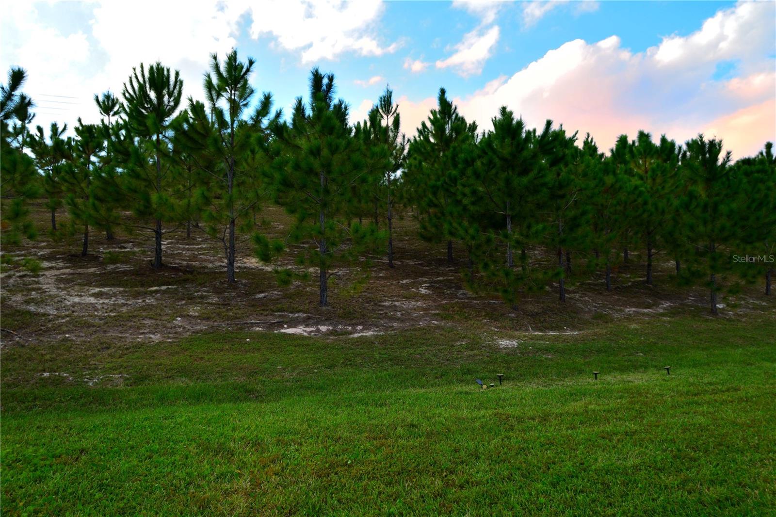 DEL WEBB ORLANDO - Residential