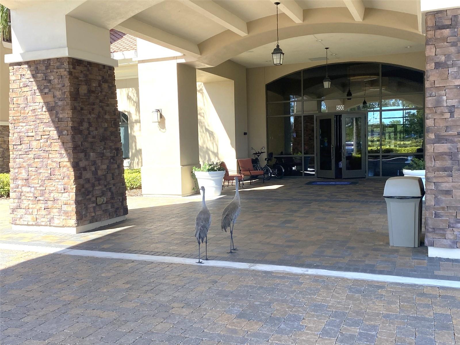 DEL WEBB ORLANDO - Residential