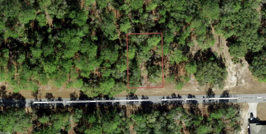 Under contract-accepting backup offers. Build your dream home on this prime vacant lot located at 705 W Hummingbird Dr in the growing community of Citrus Springs. This property offers a fantastic opportunity to create a custom home in a peaceful, well-established neighborhood surrounded by Florida’s natural beauty.
This lot features access to public water and is located outside of a flood zone, giving you added peace of mind and helping to keep future building and insurance costs lower. With no HOA restrictions, you’ll enjoy the flexibility to design and build on your terms.
Conveniently situated near golf courses, parks, walking trails, and the Withlacoochee State Trail, this location is perfect for outdoor enthusiasts. You’re also just a short drive from shopping, dining, and everyday essentials, making it easy to enjoy both tranquility and convenience.
Whether you're ready to build now or looking for a smart investment in a rapidly developing area, this property offers excellent potential. Secure your piece of Citrus Springs today and start planning your future!